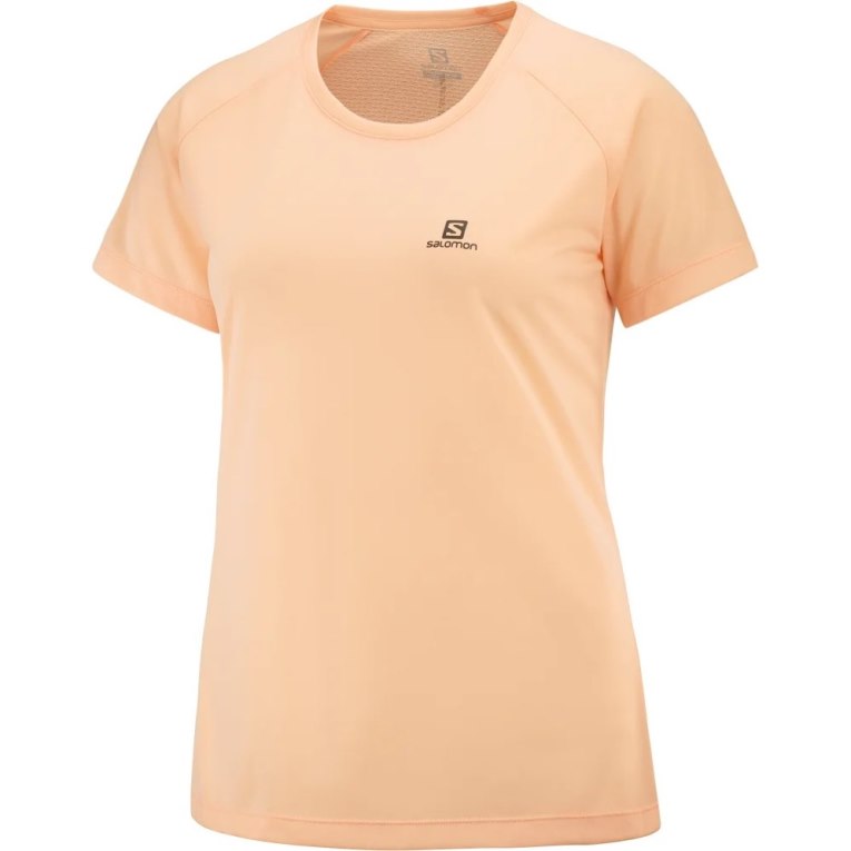 Apricot Salomon Cross Rebel Short Sleeve Women's T-Shirts | IE UY5381